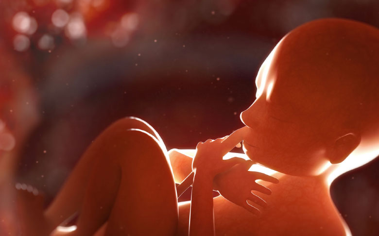 ¿Qué tipo de tratamiento existe?